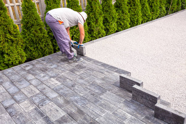 Best Driveway Repair Near Me  in Lopezville, TX