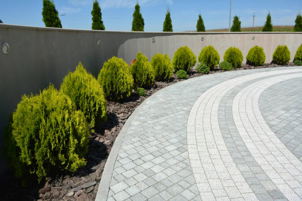 Best Decorative Driveway Pavers  in Lopezville, TX