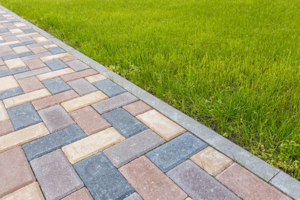 Best Driveway Paving Contractor  in Lopezville, TX